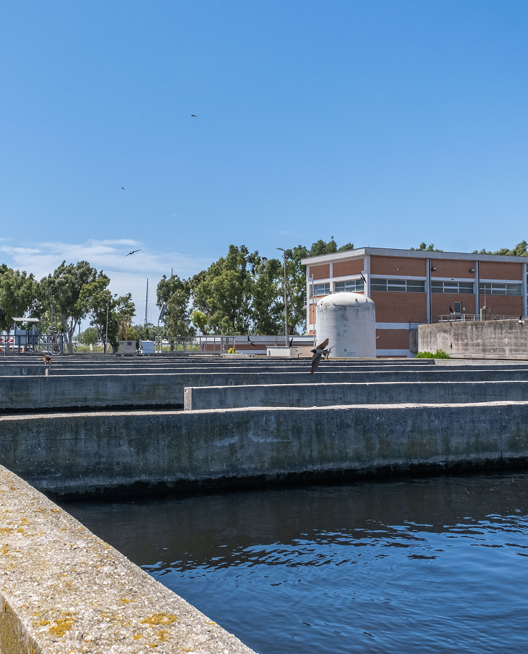 infrastruttura di un depuratore con una vasca d'acqua