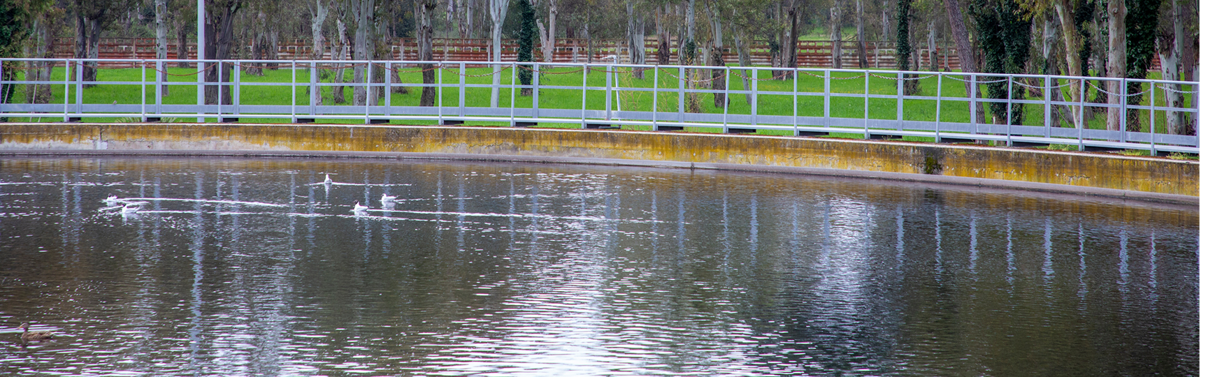 Impianto Acea con vasca di raccolta dell'acqua e alberi sullo sfondo