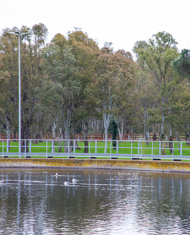 Impianto Acea con vasca di raccolta dell'acqua e alberi sullo sfondo